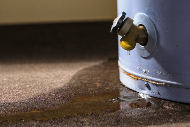 Best Carpet water damage restoration  in Wilson Conococheague, MD