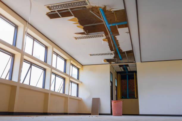 Best Water damage cleanup near me  in Wilson Conococheague, MD