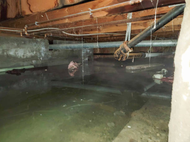 Best Emergency water damage restoration  in Wilson Conococheague, MD