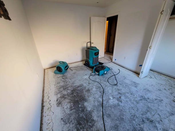 Best Flood damage cleanup  in Wilson Conococheague, MD