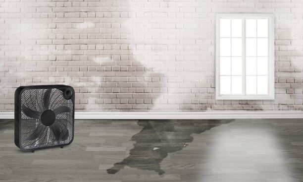 Trusted Wilson Conococheague, MD Water damage restoration Experts