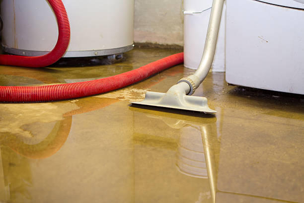 Wilson Conococheague, MD Water damage restoration Company