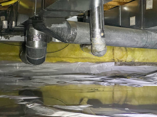 Best Mold removal after water damage  in Wilson Conococheague, MD