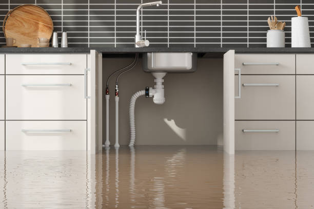 Best Residential water damage restoration  in Wilson Conococheague, MD