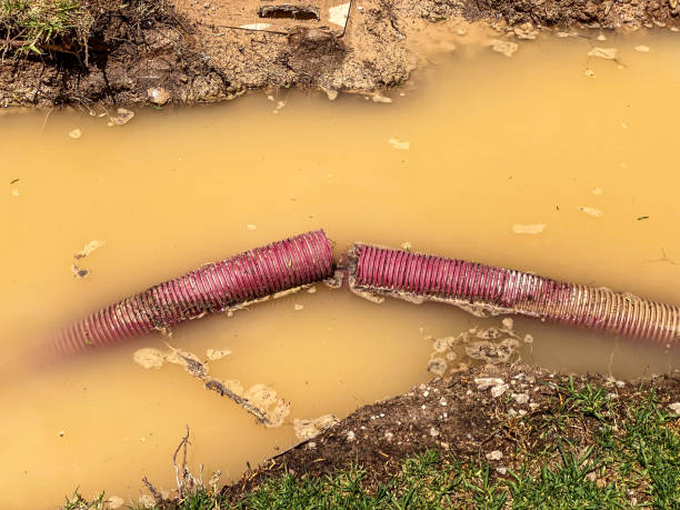 Best Residential water damage restoration  in Wilson Conococheague, MD