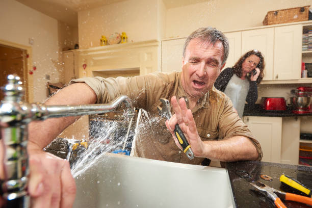 Best Sewage cleanup and water damage restoration  in Wilson Conococheague, MD